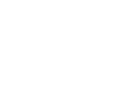 Falcon Icon White